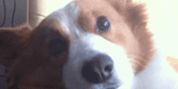 Quand je suis en réunion et que tout à coup quelqu'un demande mon avis