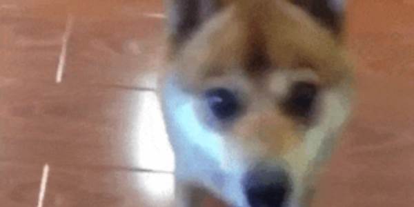 Quand c'est bientôt l'heure de partir en week-end prolongé