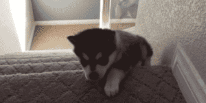 Quand j'exécute mon code par erreur alors que je n'ai pas fini de coder