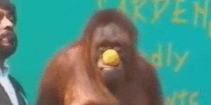 Quand on foire notre démo et qu'on poursuit comme si de rien n'était