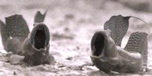 Quand la prod tombe un vendredi soir