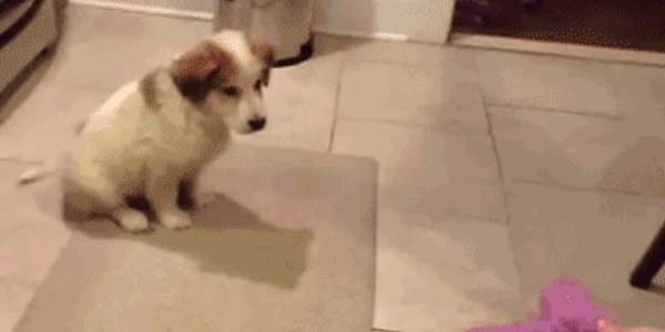 Quand mon try catch ne fonctionne pas comme prévu