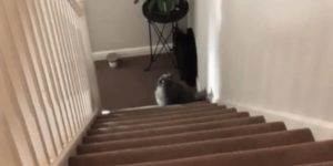 Quand on me donne un nouveau projet après que j'aie passé un mois à débuguer