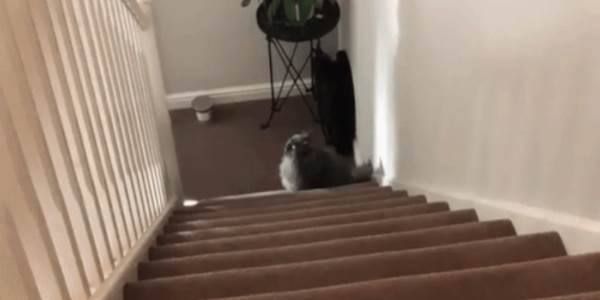 Quand on me donne un nouveau projet après que j'aie passé un mois à débuguer