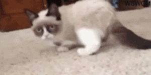 Quand on me demande si je suis partant pour un déplacement chez le client