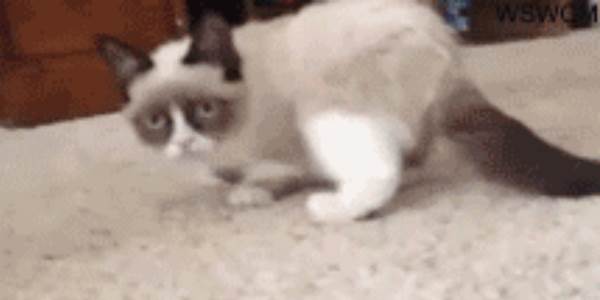 Quand on me demande si je suis partant pour un déplacement chez le client