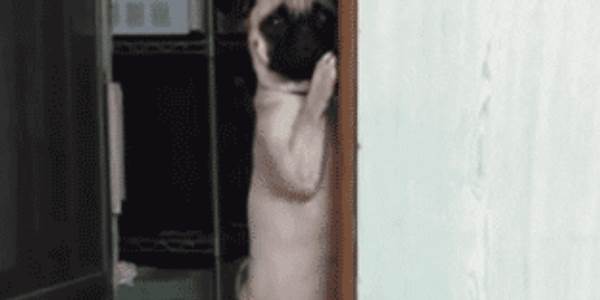 Quand je vois un collègue lancer un git blame