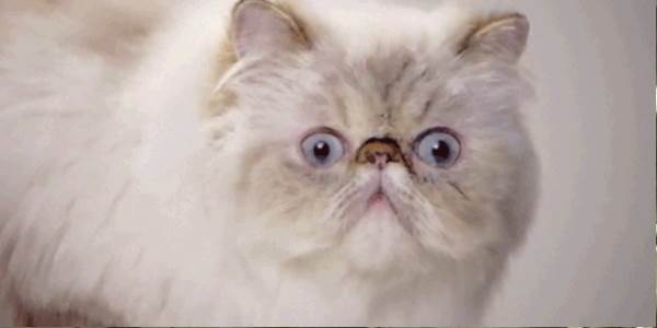 Quand un bug que je pensais avoir corrigé depuis longtemps est présent en prod