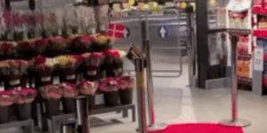 2 tests unitaires, 0 test d'intégration