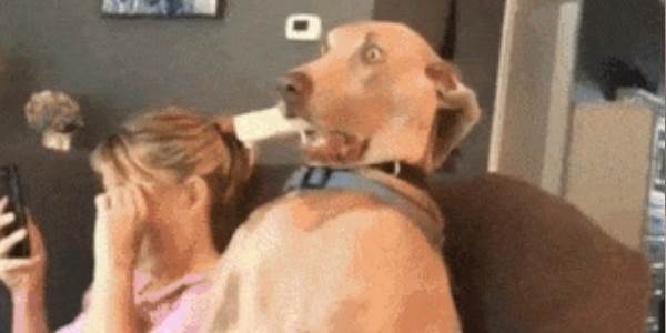 Quand tu réalises beaucoup trop tard que tu viens de supprimer définitivement toutes les données de prod