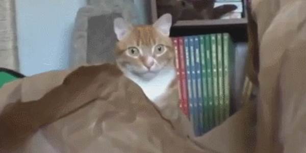 Quand une fois commité mon dev ne fonctionne plus sans raison apparente