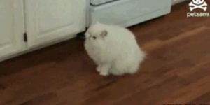 Quand mon script met 3 plombes à se lancer