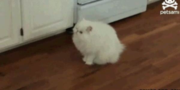 Quand mon script met 3 plombes à se lancer