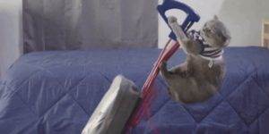 Quand on me demande de faire le ménage en urgence dans mon code pour un audit