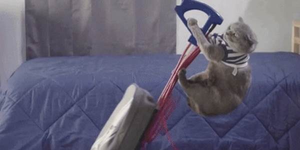 Quand on me demande de faire le ménage en urgence dans mon code pour un audit