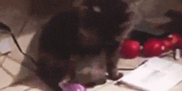 Quand je déploie sur l'environnement de test alors qu'un collègue est en train de s'en servir