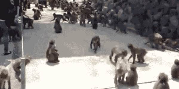 Quand j'arrive au bureau avec des croissants