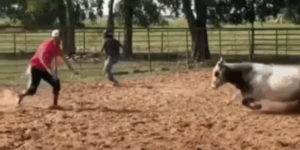 Quand je pense avoir corrigé tous les bugs