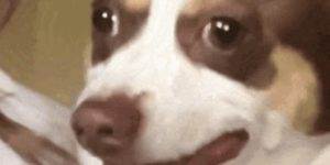 Quand je réalise que j'ai oublié de commit ma modif en production