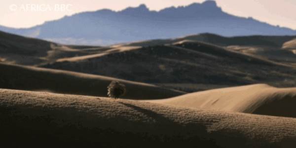 Quand je suis au bureau entre Noël et le jour de l'an
