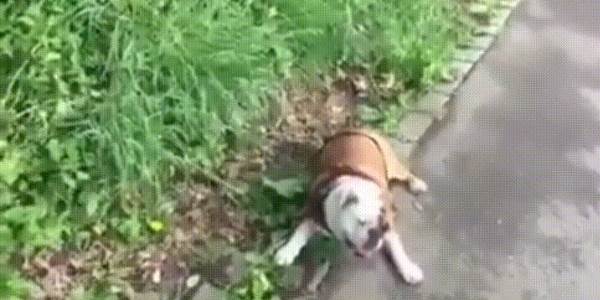 Quand je découvre une fonctionnalité insoupçonnée de mon IDE