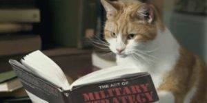 Quand je cherche des réponses dans la doc