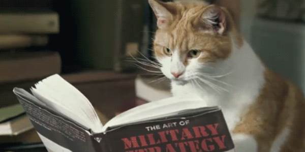 Quand je cherche des réponses dans la doc