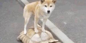 Quand je lance le build de mon projet sous Eclipse