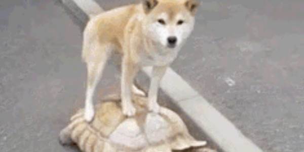 Quand je lance le build de mon projet sous Eclipse