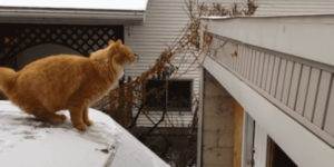 Quand le stagiaire pense pouvoir corriger un bug