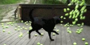 Quand je lance malencontreusement un chown récursif sur /