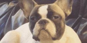 Quand j'assiste à ma première réunion de l'année