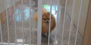 Quand je quitte le bureau le vendredi soir