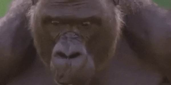 Quand j'essaie de comprendre le code que j'ai écrit la veille