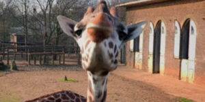 Quand j'entends un collègue dire qu'il vient de casser la prod