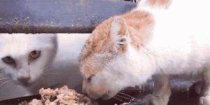 Quand je reprends le code du stagiaire