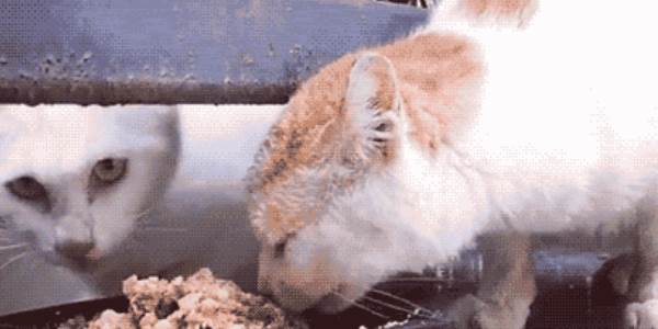 Quand je reprends le code du stagiaire