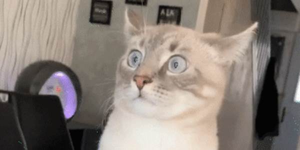 Quand je me retrouve dans une réunion où personne ne sait parler technique