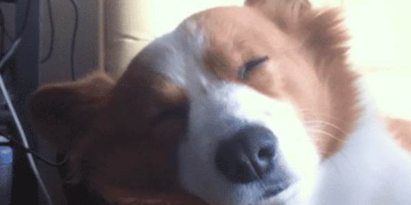 Quand je me réveille en retard après une coding night