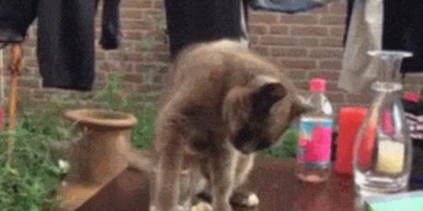 Quand un collègue s'attribue un ticket sur lequel j'étais en train de travailler