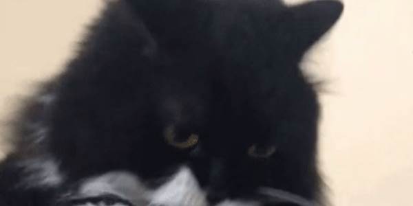 Quand je découvre le retour des tests sur mon dev