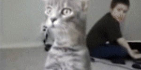 Quand je viens de lancer mon update et que je me rends compte que j'ai oublié la clause where