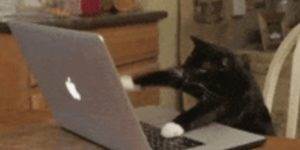 Quand la mise en prod est prévue dans moins d'une heure