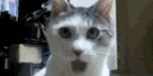 Quand mon code fonctionne du premier coup