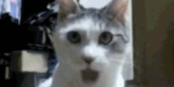 Quand mon code fonctionne du premier coup