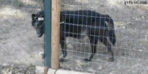 Quand je vais voir le sysadmin pour lui demander les accès root