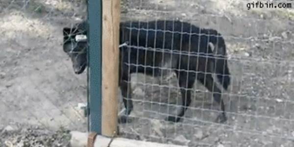 Quand je vais voir le sysadmin pour lui demander les accès root