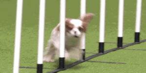 Quand mon code passe tous les tests unitaires sauf le dernier