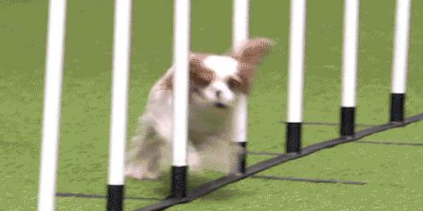 Quand mon code passe tous les tests unitaires sauf le dernier