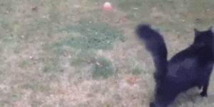 Quand mon try catch n'attrape pas l'exception attendue